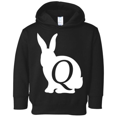 Q-anon Rabbit Logo Toddler Hoodie