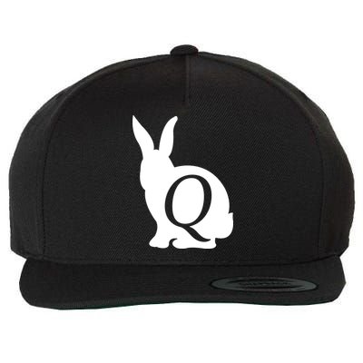 Q-anon Rabbit Logo Wool Snapback Cap