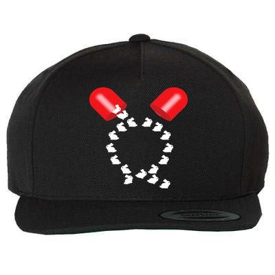 Q Anon Red Pill Qanon Wool Snapback Cap