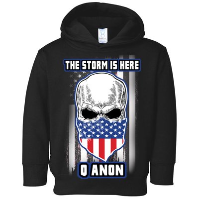 Q-Anon The Storm Is Here Skull Flag Toddler Hoodie