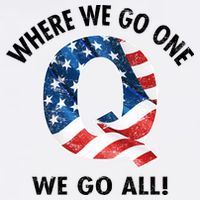 Q Anon Where We Go One We Go All  Garment-Dyed Sweatshirt