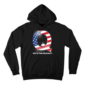 Q Anon Why Is this Relevant Hoodie