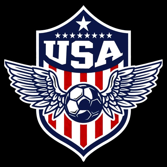 Qatar 2022 Soccer Football Cup America USA Team Support 16 in Basic Backpack
