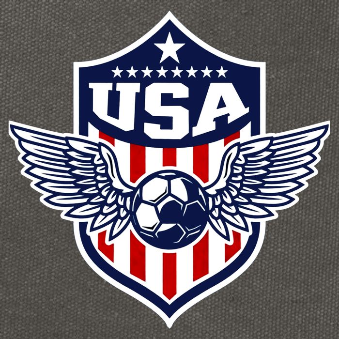 Qatar 2022 Soccer Football Cup America USA Team Support Cotton Canvas Backpack