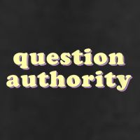 Question Authority Funny Gift Adult Drive Performance Visor