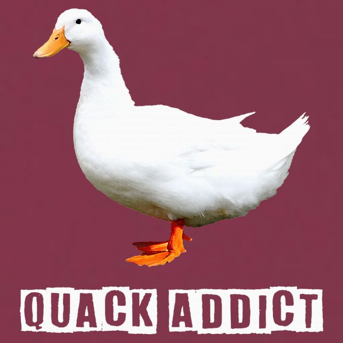 Quack Addict Funny Duck Lover 16oz Travel Tumbler