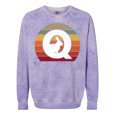 Qanon Conspiracy Rabbit Retro Q Anon Colorblast Crewneck Sweatshirt