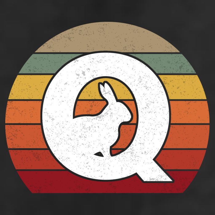 Qanon Conspiracy Rabbit Retro Q Anon Cool Comfort Performance Bucket Hat