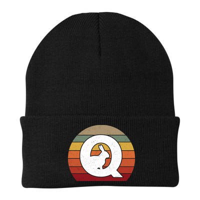 Qanon Conspiracy Rabbit Retro Q Anon Beanie