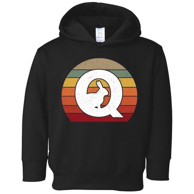 Qanon Conspiracy Rabbit Retro Q Anon Toddler Hoodie