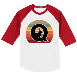 Qanon Conspiracy Rabbit Retro Q Anon Baseball Sleeve Shirt