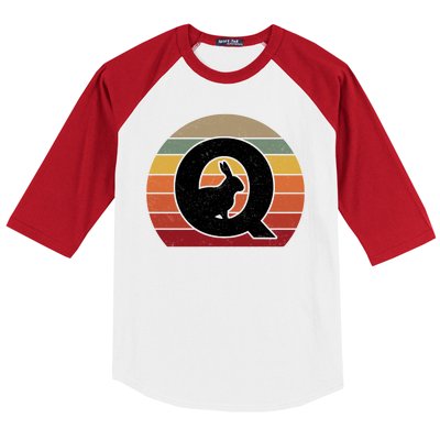 Qanon Conspiracy Rabbit Retro Q Anon Baseball Sleeve Shirt