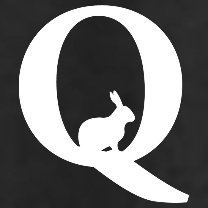 QAnon Rabbit Deep State Cool Comfort Performance Bucket Hat