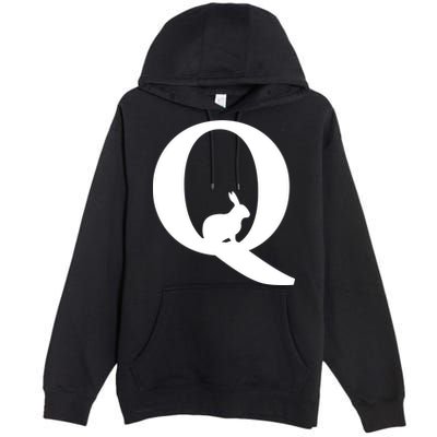 QAnon Rabbit Deep State Premium Pullover Hoodie