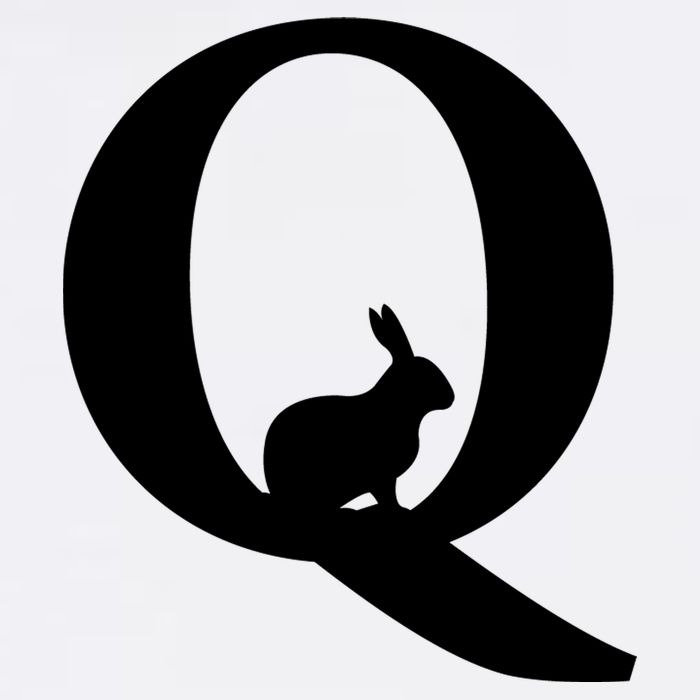 QAnon Rabbit Deep State Garment-Dyed Sweatshirt