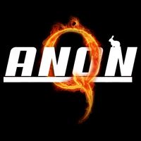 QAnon The Rabbit Storm Fire Logo Hoodie