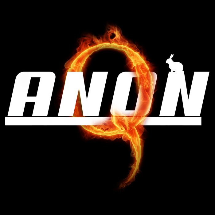 QAnon The Rabbit Storm Fire Logo Hoodie