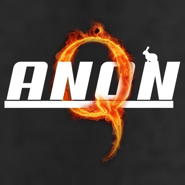 QAnon The Rabbit Storm Fire Logo Trucker Hat