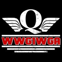 QAnon Wings WWG1WGA Sustainable Bucket Hat