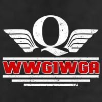 QAnon Wings WWG1WGA Adult Drive Performance Visor