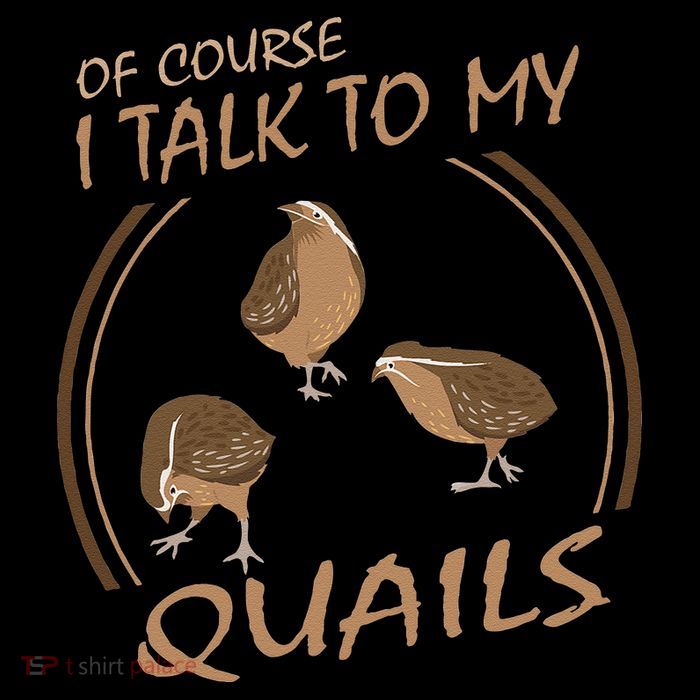 Quail Bird Lover Gift Just A  Who Loves Quails Bucket Hat