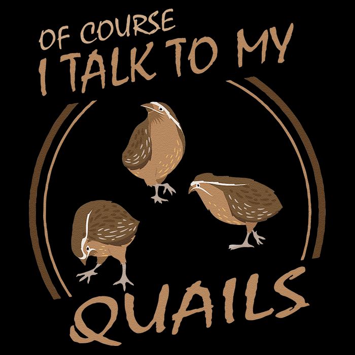 Quail Bird Lover Gift Just A  Who Loves Quails 16 in Basic Backpack