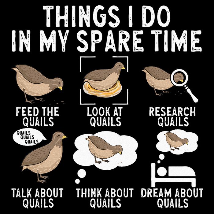 Quail Bird Lover Things I Do In My Spare Time Quail T-Shirt