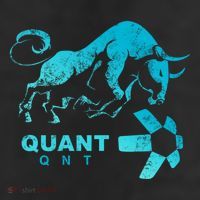 Quant Crypto Bullrun Qnt Token Blockchain Rich Millionaire Great Gift 7 Panel Mesh Trucker Snapback Hat