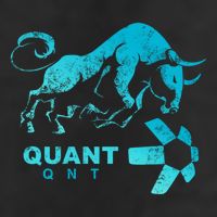 Quant Crypto Bullrun Qnt Token Blockchain Rich Millionaire Great Gift 25L Jumbo Tote