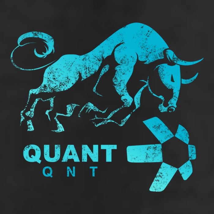 Quant Crypto Bullrun Qnt Token Blockchain Rich Millionaire Great Gift 25L Jumbo Tote
