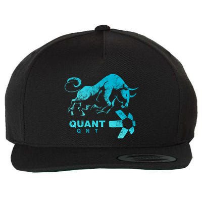Quant Crypto Bullrun Qnt Token Blockchain Rich Millionaire Great Gift Wool Snapback Cap