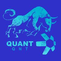 Quant Crypto Bullrun Qnt Token Blockchain Rich Millionaire Great Gift T-Shirt