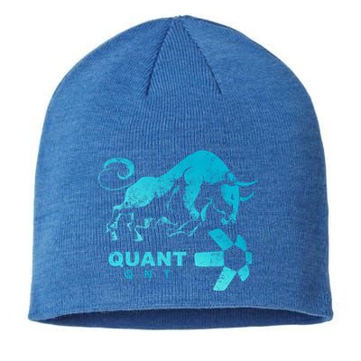 Quant Crypto Bullrun Qnt Token Blockchain Rich Millionaire Great Gift Sustainable Beanie