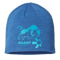 Quant Crypto Bullrun Qnt Token Blockchain Rich Millionaire Great Gift Sustainable Beanie