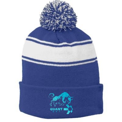 Quant Crypto Bullrun Qnt Token Blockchain Rich Millionaire Great Gift Stripe Pom Pom Beanie