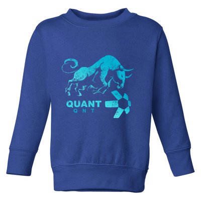 Quant Crypto Bullrun Qnt Token Blockchain Rich Millionaire Great Gift Toddler Sweatshirt