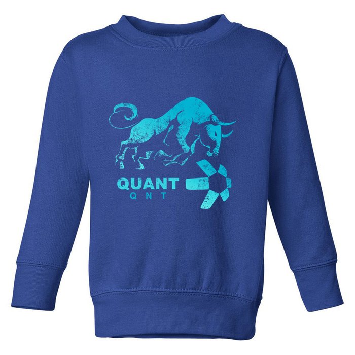 Quant Crypto Bullrun Qnt Token Blockchain Rich Millionaire Great Gift Toddler Sweatshirt