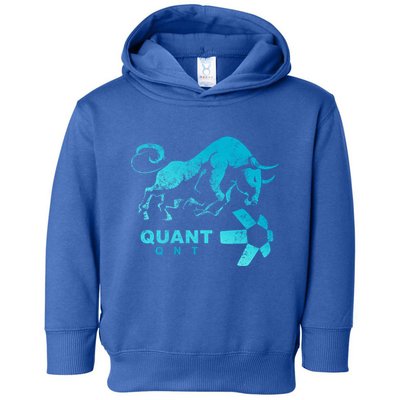 Quant Crypto Bullrun Qnt Token Blockchain Rich Millionaire Great Gift Toddler Hoodie