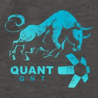 Quant Crypto Bullrun Qnt Token Blockchain Rich Millionaire Great Gift Vector Backpack