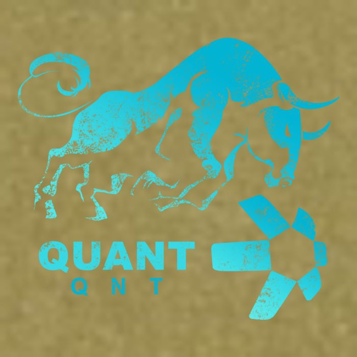 Quant Crypto Bullrun Qnt Token Blockchain Rich Millionaire Great Gift Garment-Dyed Women's Muscle Tee