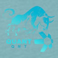 Quant Crypto Bullrun Qnt Token Blockchain Rich Millionaire Great Gift Sueded Cloud Jersey T-Shirt