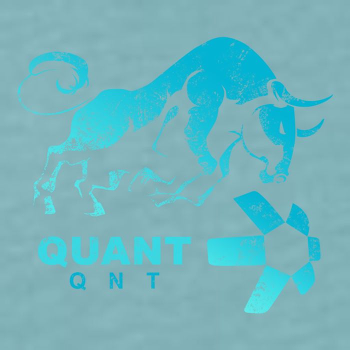 Quant Crypto Bullrun Qnt Token Blockchain Rich Millionaire Great Gift Sueded Cloud Jersey T-Shirt