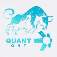 Quant Crypto Bullrun Qnt Token Blockchain Rich Millionaire Great Gift Garment-Dyed Sweatshirt