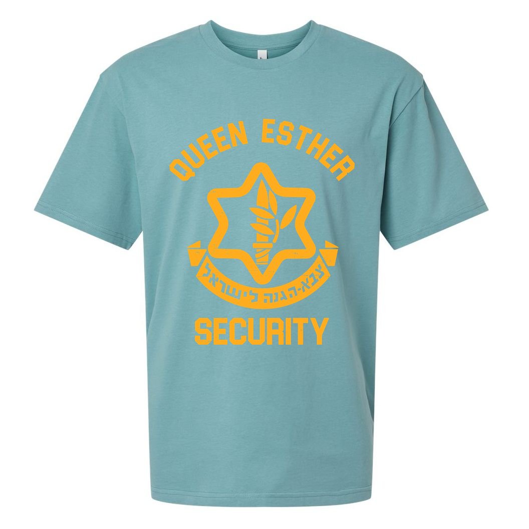 Queen Esther Security Purim Purim Funny Sueded Cloud Jersey T-Shirt