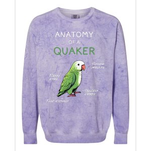 Quaker Funny Anatomy Of A Quaker Parrot Monk Parrot Colorblast Crewneck Sweatshirt