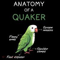 Quaker Funny Anatomy Of A Quaker Parrot Monk Parrot Drawstring Bag