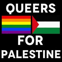 Queers For Palestine Drawstring Bag