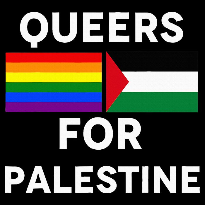 Queers For Palestine Drawstring Bag