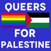 Queers For Palestine T-Shirt