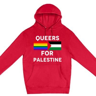 Queers For Palestine Premium Pullover Hoodie